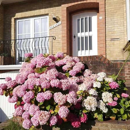 Tatil Evi Charming House Panacea *