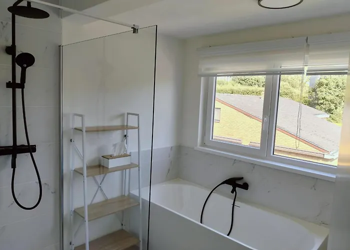 Charming House Panacea * Oostduinkerke